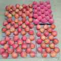 Top Quality of Chinese Fresh Red Qinguan Apple